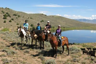 Horseback Riding & Tours in Estes Park